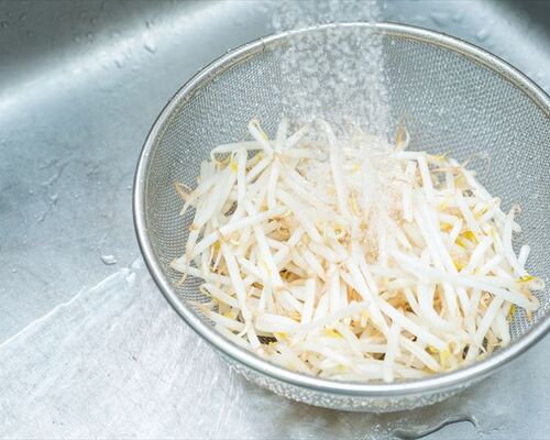 コラム もやしの卸をお探しなら 有限会社田中商店