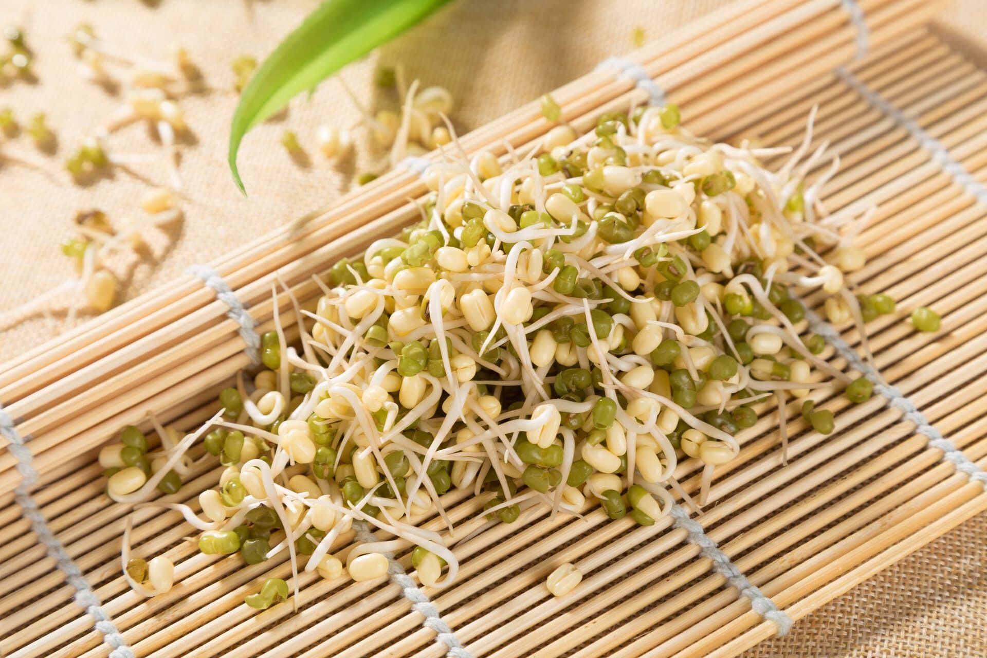 AdobeStock_339291488