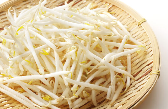 青果店や家庭の食卓の強い味方 | 広島のおいしいもやしの卸なら有限会社 田中商店